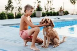 Noah - Boys Mauve Boardshorts -Evergreen Plants Shop 1A473090 3CA8 431E A74B 06D719E64B5D