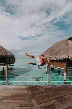 Joe - Multi-Color Men's Swim Shorts - $24 -Evergreen Plants Shop 32DB8A0F 622F 4D0C B505 82375AFB3AC1