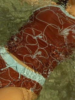 Payton - Hibiscus Floral Tankini - $76 -Evergreen Plants Shop 5AC38F36 16F9 4BC8 A87F DF1A8B135D20