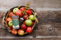 Apple Tree | Seed Grow Kit -Evergreen Plants Shop AppleGrowKitBatch2 6 Small 0376f5d2 0c9d 4fe6 9fdc 5cdb994262d1