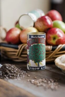 Apple Tree | Seed Grow Kit -Evergreen Plants Shop AppleTreeGrowKit Styled 19 Small a6ecf24d 012b 424d a77b 22bf35923ee8