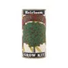 Apple Tree | Seed Grow Kit