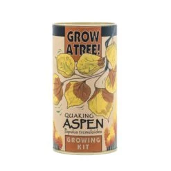 Quaking Aspen | Seed Grow Kit