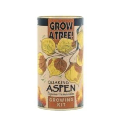 Quaking Aspen | Seed Grow Kit -Evergreen Plants Shop Aspen Grow Kit 360 1