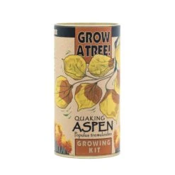 Quaking Aspen | Seed Grow Kit -Evergreen Plants Shop Aspen Grow Kit 360 2