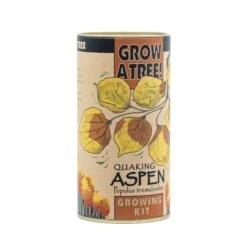 Quaking Aspen | Seed Grow Kit -Evergreen Plants Shop Aspen Grow Kit 360 3