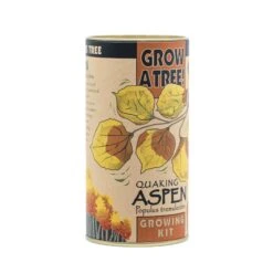 Quaking Aspen | Seed Grow Kit -Evergreen Plants Shop Aspen Grow Kit 360 4