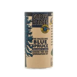 Blue Spruce | Seed Grow Kit -Evergreen Plants Shop Blue Spruce Grow Kit 360 1