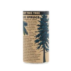 Blue Spruce | Seed Grow Kit -Evergreen Plants Shop Blue Spruce Grow Kit 360 10