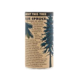 Blue Spruce | Seed Grow Kit -Evergreen Plants Shop Blue Spruce Grow Kit 360 11