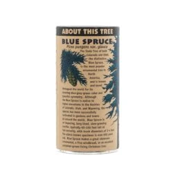 Blue Spruce | Seed Grow Kit -Evergreen Plants Shop Blue Spruce Grow Kit 360 13