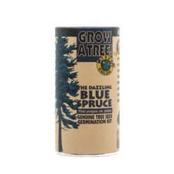 Blue Spruce | Seed Grow Kit -Evergreen Plants Shop Blue Spruce Grow Kit 360 2