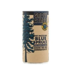 Blue Spruce | Seed Grow Kit -Evergreen Plants Shop Blue Spruce Grow Kit 360 3
