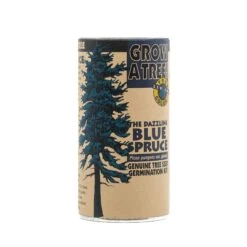Blue Spruce | Seed Grow Kit -Evergreen Plants Shop Blue Spruce Grow Kit 360 4