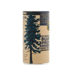 Blue Spruce | Seed Grow Kit -Evergreen Plants Shop Blue Spruce Grow Kit 360 5