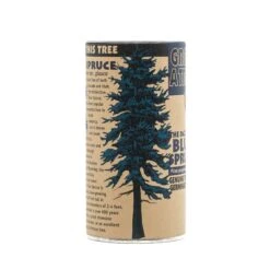 Blue Spruce | Seed Grow Kit -Evergreen Plants Shop Blue Spruce Grow Kit 360 7