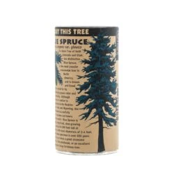 Blue Spruce | Seed Grow Kit -Evergreen Plants Shop Blue Spruce Grow Kit 360 9