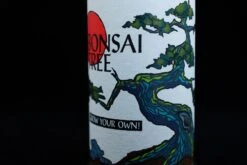 Bonsai Starter | Packaged Live Tree -Evergreen Plants Shop BonsaiPCT