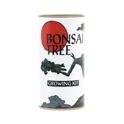 Bonsai Tree | White Design | Seed Grow Kit -Evergreen Plants Shop Bonsai Tree White 2