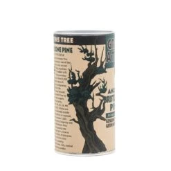 Ancient Bristlecone Pine | Seed Grow Kit 36 Ancient Bristlecone Pine | Seed Grow Kit -Evergreen Plants Shop Bristlecone Pine 9