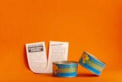 California Poppy | Flower Seed Grow Kit -Evergreen Plants Shop Ca Poppies 1