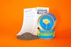 California Poppy | Flower Seed Grow Kit -Evergreen Plants Shop Ca Poppies 10