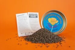 California Poppy | Flower Seed Grow Kit -Evergreen Plants Shop Ca Poppies 5