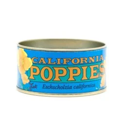 California Poppy | Flower Seed Grow Kit -Evergreen Plants Shop California Poppies 3