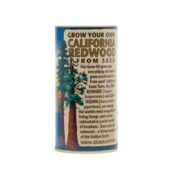 California Redwood | Giant Sequoia | Seed Grow Kit -Evergreen Plants Shop California Redwood 1 e74bc12c 59c5 4f4d a860 a0d0d68ef979
