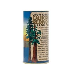 California Redwood | Giant Sequoia | Seed Grow Kit -Evergreen Plants Shop California Redwood 3 903db95f 1014 4545 a2b5 f278f1ab8790