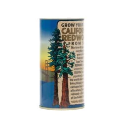 California Redwood | Giant Sequoia | Seed Grow Kit -Evergreen Plants Shop California Redwood 4 a9be0f97 61ee 4d47 a094 e4f717df9cdb