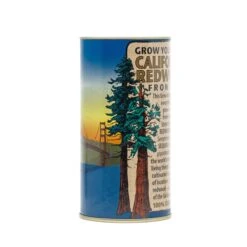 California Redwood | Giant Sequoia | Seed Grow Kit -Evergreen Plants Shop California Redwood 5 8d9537a9 5ee7 4a05 9624 2dbe84d56746