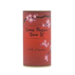 Japanese Cherry | Seed Grow Kit -Evergreen Plants Shop Cherry Blossom Grow Kit 360 1