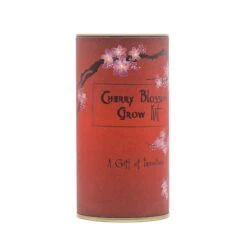 Japanese Cherry | Seed Grow Kit -Evergreen Plants Shop Cherry Blossom Grow Kit 360 3