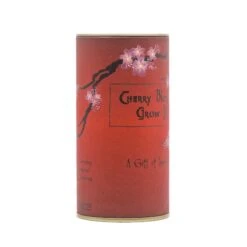 Japanese Cherry | Seed Grow Kit -Evergreen Plants Shop Cherry Blossom Grow Kit 360 5