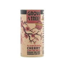 Flowering Cherry Blossom | Seed Grow Kit -Evergreen Plants Shop Cherry Tree Grow Kit 360 1