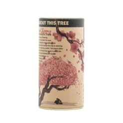 Flowering Cherry Blossom | Seed Grow Kit -Evergreen Plants Shop Cherry Tree Grow Kit 360 11