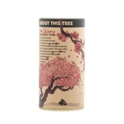 Flowering Cherry Blossom | Seed Grow Kit -Evergreen Plants Shop Cherry Tree Grow Kit 360 12