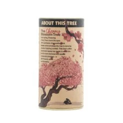 Flowering Cherry Blossom | Seed Grow Kit -Evergreen Plants Shop Cherry Tree Grow Kit 360 13