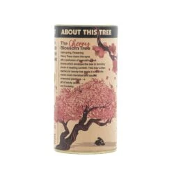Flowering Cherry Blossom | Seed Grow Kit -Evergreen Plants Shop Cherry Tree Grow Kit 360 14