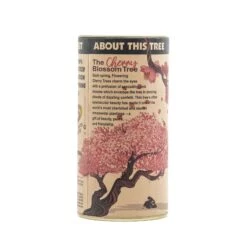 Flowering Cherry Blossom | Seed Grow Kit -Evergreen Plants Shop Cherry Tree Grow Kit 360 15