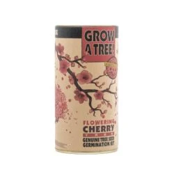 Flowering Cherry Blossom | Seed Grow Kit -Evergreen Plants Shop Cherry Tree Grow Kit 360 3