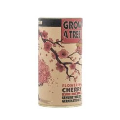 Flowering Cherry Blossom | Seed Grow Kit -Evergreen Plants Shop Cherry Tree Grow Kit 360 4