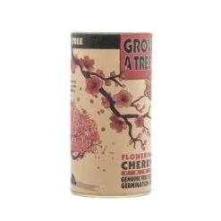 Flowering Cherry Blossom | Seed Grow Kit -Evergreen Plants Shop Cherry Tree Grow Kit 360 5