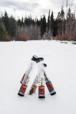 Living Christmas Tree | Serbian Spruce -Evergreen Plants Shop Christmas 35 2