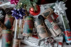 Christmas Tree | Seed Grow Kit -Evergreen Plants Shop Christmas 5