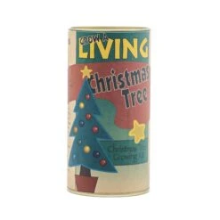 Christmas Tree | Seed Grow Kit -Evergreen Plants Shop Christmas Tree Grow Kit 360 2