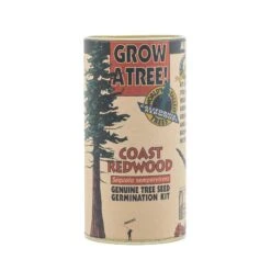 Coast Redwood | Seed Grow Kit -Evergreen Plants Shop Coast Redwood Kit 360 1