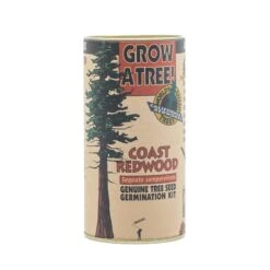 Coast Redwood | Seed Grow Kit -Evergreen Plants Shop Coast Redwood Kit 360 2