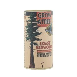 Coast Redwood | Seed Grow Kit -Evergreen Plants Shop Coast Redwood Kit 360 3